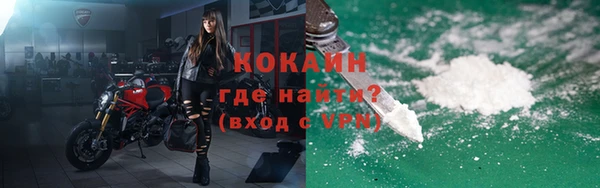 шишки Белокуриха