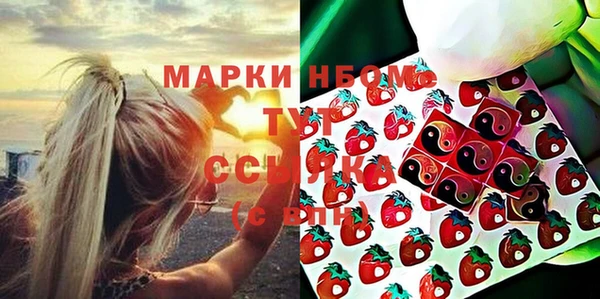 шишки Белокуриха