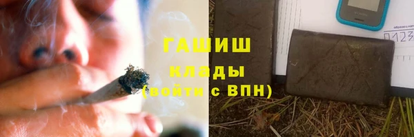шишки Белокуриха