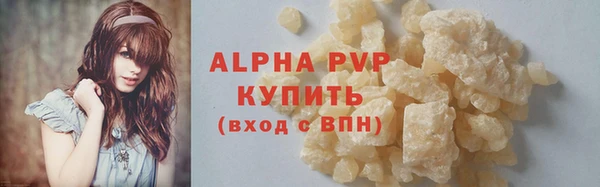 шишки Белокуриха
