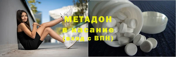 шишки Белокуриха