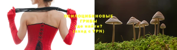 шишки Белокуриха