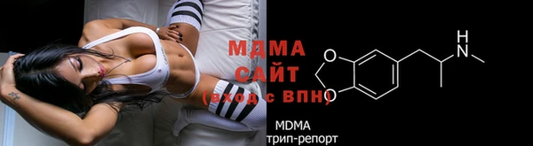 шишки Белокуриха