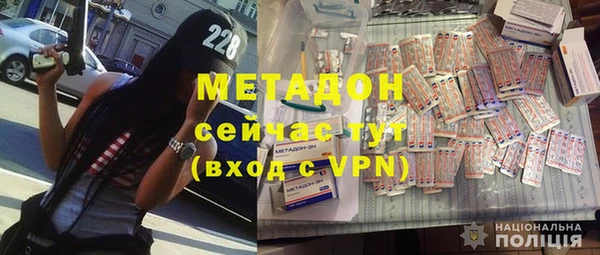шишки Белокуриха
