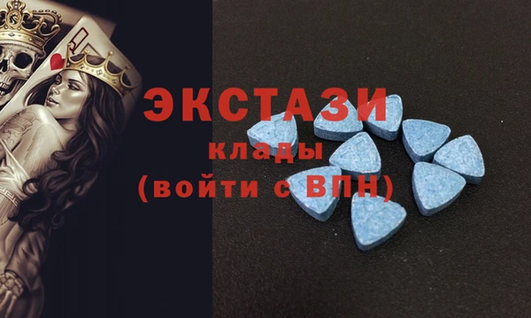 шишки Белокуриха