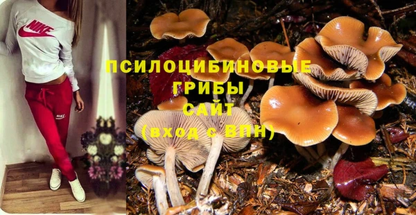 шишки Белокуриха