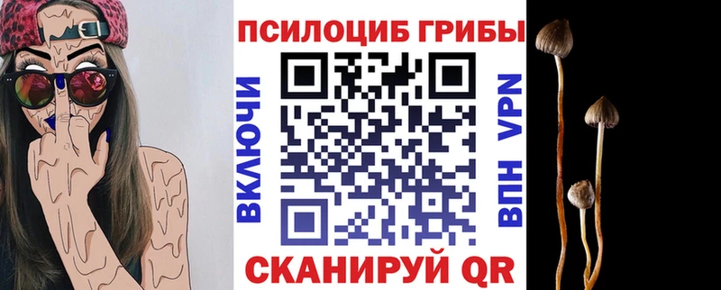 Галлюциногенные грибы Psilocybe  даркнет сайт  Пыть-Ях 